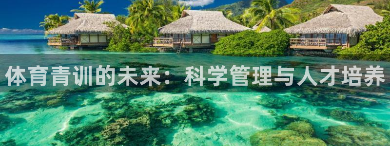 必一运动体育app