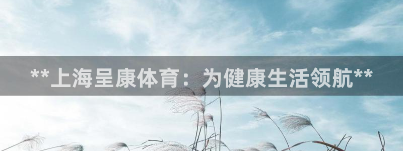 必一体育登陆