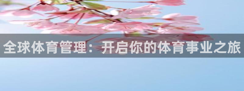 b体育官网下载入口app必一