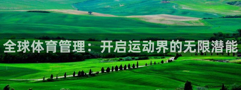必一体育bsport下载