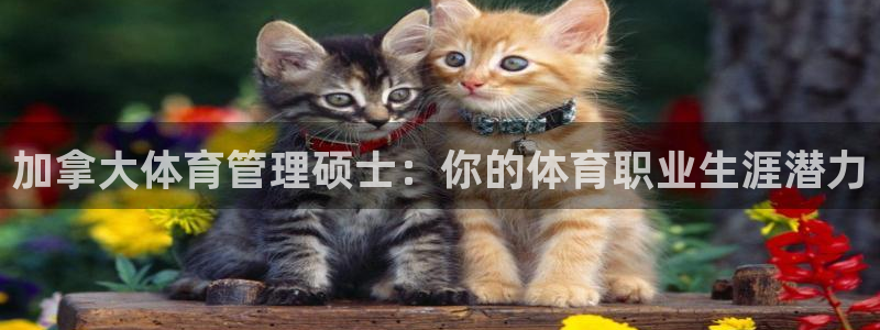 必一体育秀给网