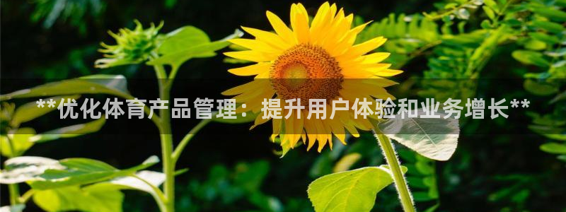 必一体育流水线是什么意思