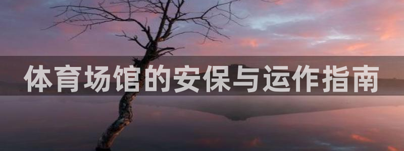 必一体育APP：体育