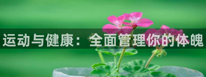 必一运动sport爱查股