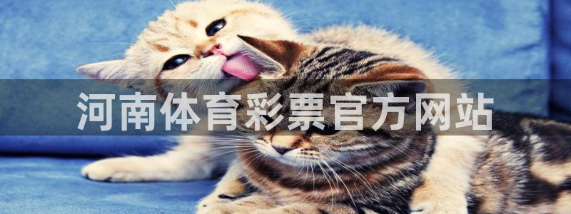 必一体育app官方下