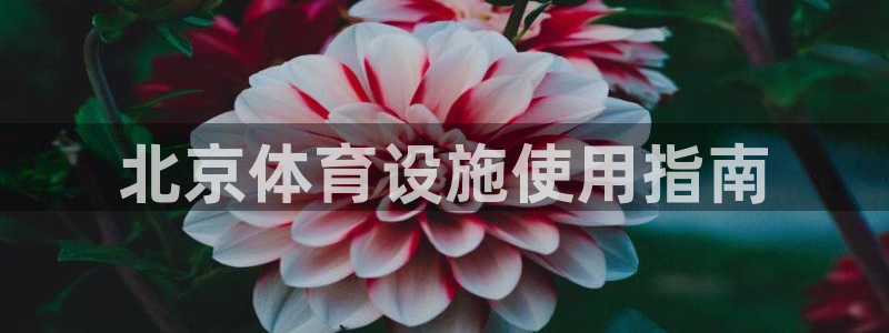 必一体育下载app