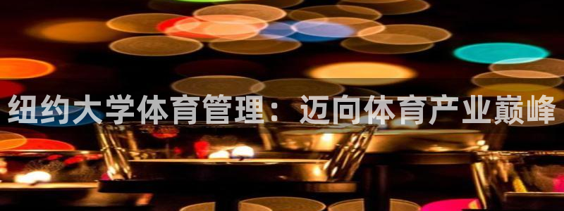 必一体育bsport下载