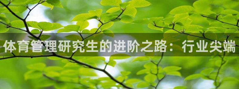 必一体育sport装机吧