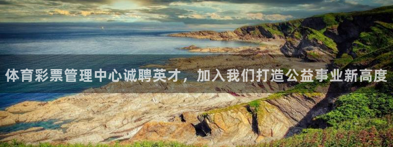 b体育官网下载入口app必一