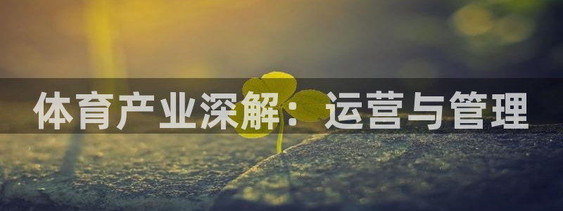 必一体育下载app：