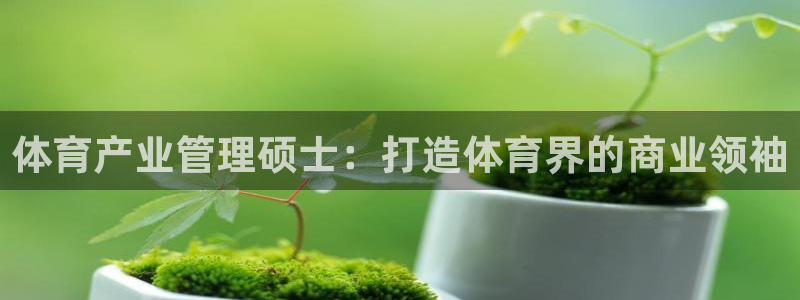 必一体育黑平台：体育