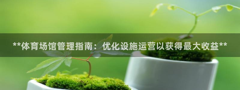 必一体育最新官网入口