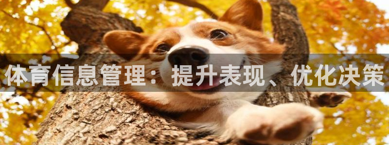 必一体育官方app下