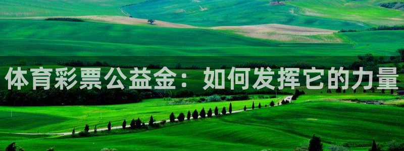 必一体育官方入口