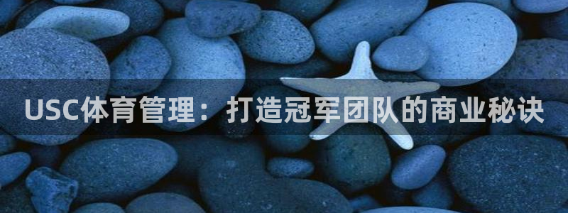 必一体育sportB体育