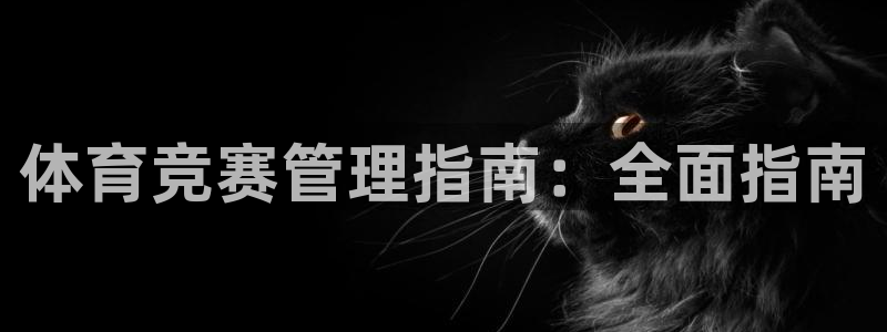 必一体育是啥