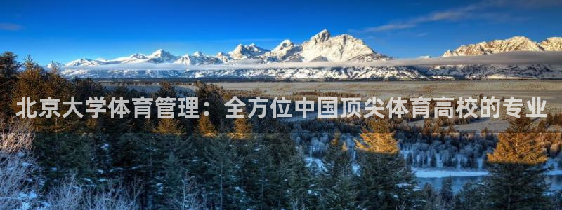 必一体育在线玩