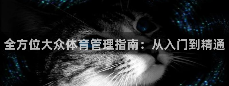 必一体育黑平台：全方