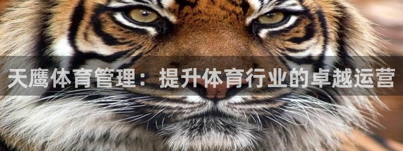 必一运动官网入口