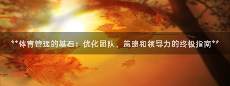 必一体育app下载装