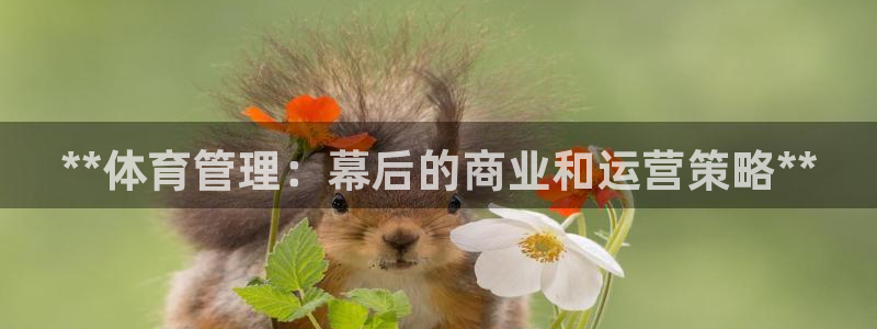 必一体育下载意思：*