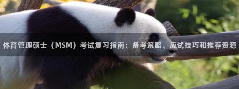 必一运动体育app：