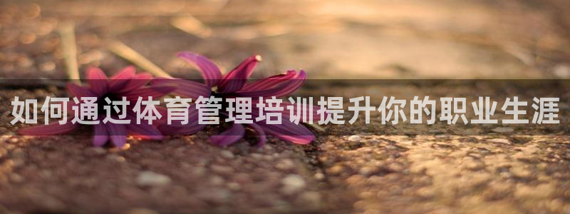 必一运动体育：如何通