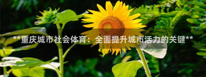 必一运动体育：**重