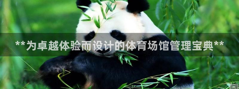 必一体育在线官网