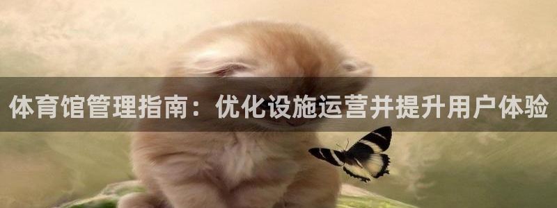 必一体育app官方：