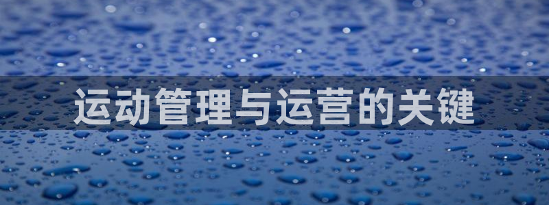必一体育bsport