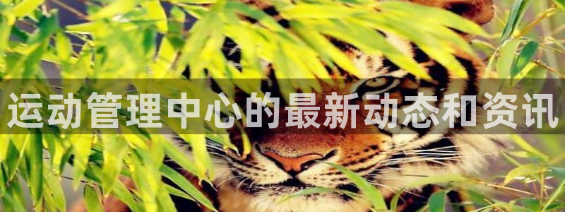 必一体育sport下载