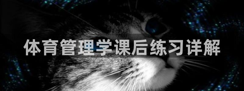 必一体育怎么下载