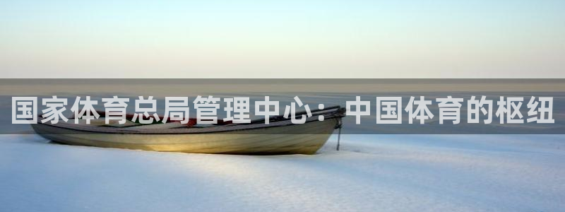 必一体育运动下载：国