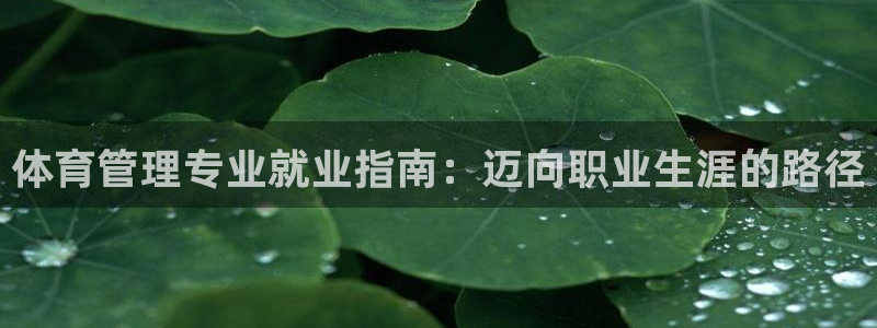 必一体育APP下载安装