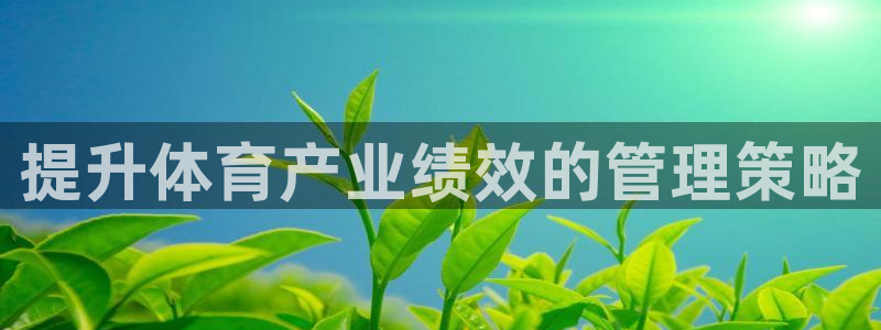 必一运动体