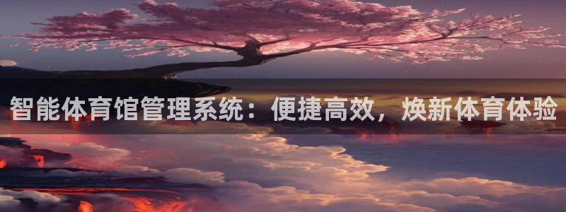 必一体育APP