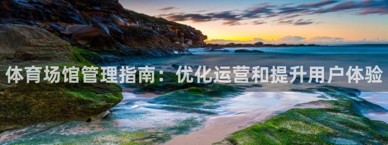 必一体育官网网址
