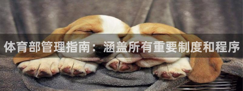 必一体育在线入口：体