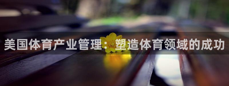 必一体育app官方
