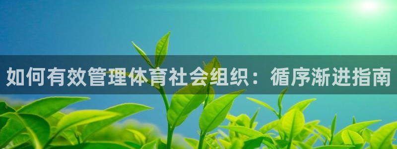 必一体育怎么下载：如