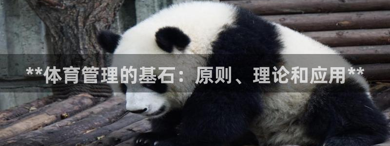 b体育官网下载入口a