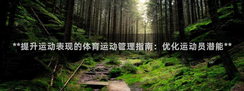 必一体育电子app：