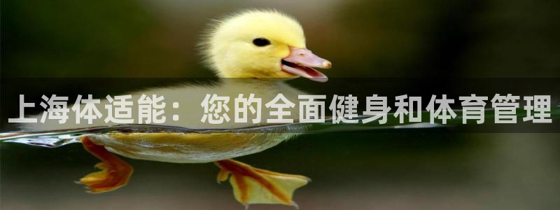 Bsport体育必一