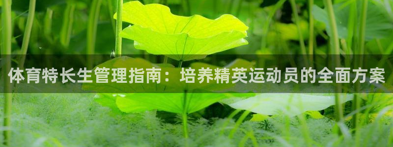 必一体育下载秀给网