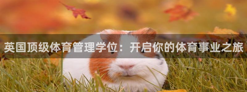 b体育官网下载入口a
