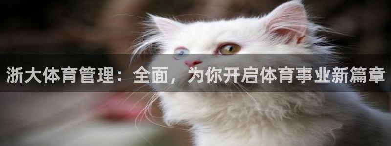 必一体育没了
