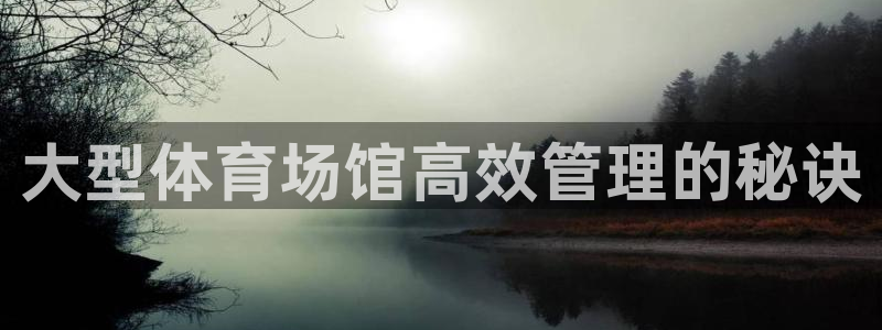 必一运动体育app：