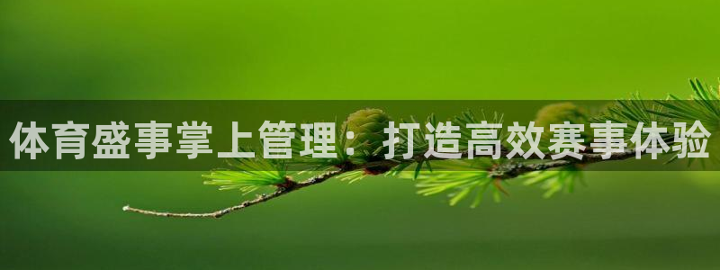 必一体育电子app：