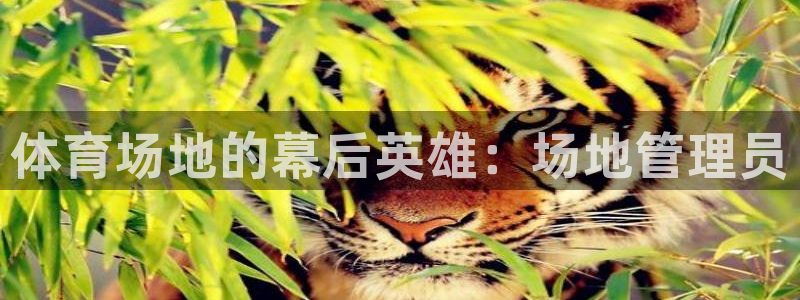 必十二和必一的副作用